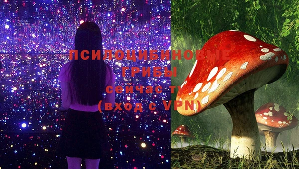метадон Заволжье