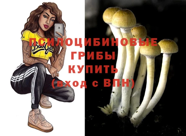 метадон Заволжье